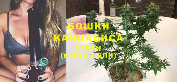 бутират Тайга