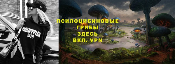 бутират Тайга