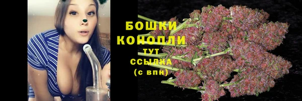 бутират Тайга