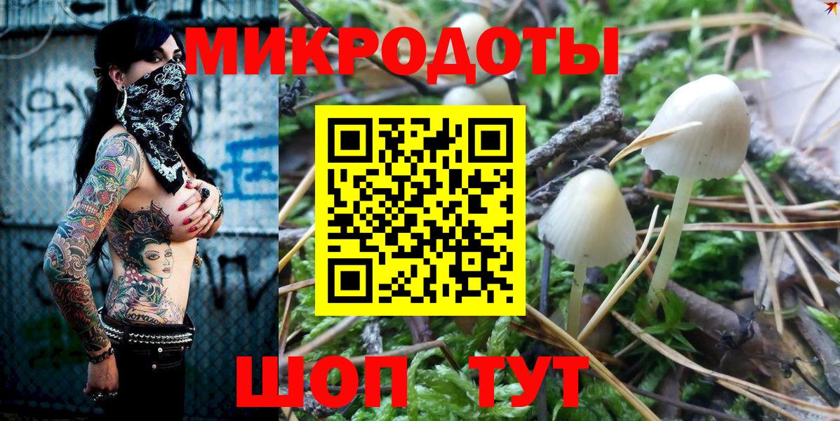 Псилоцибиновые грибы Cubensis  Новочебоксарск  Псилоцибиновые грибы Magic Shrooms 