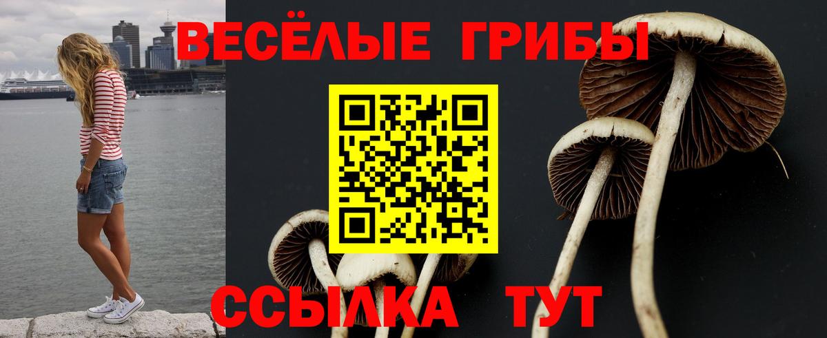 Галлюциногенные грибы GOLDEN TEACHER Новочебоксарск