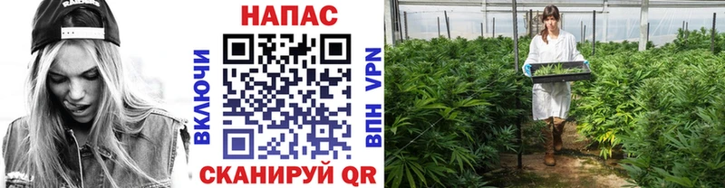 hydra онион  Новочебоксарск  МАРИХУАНА план 