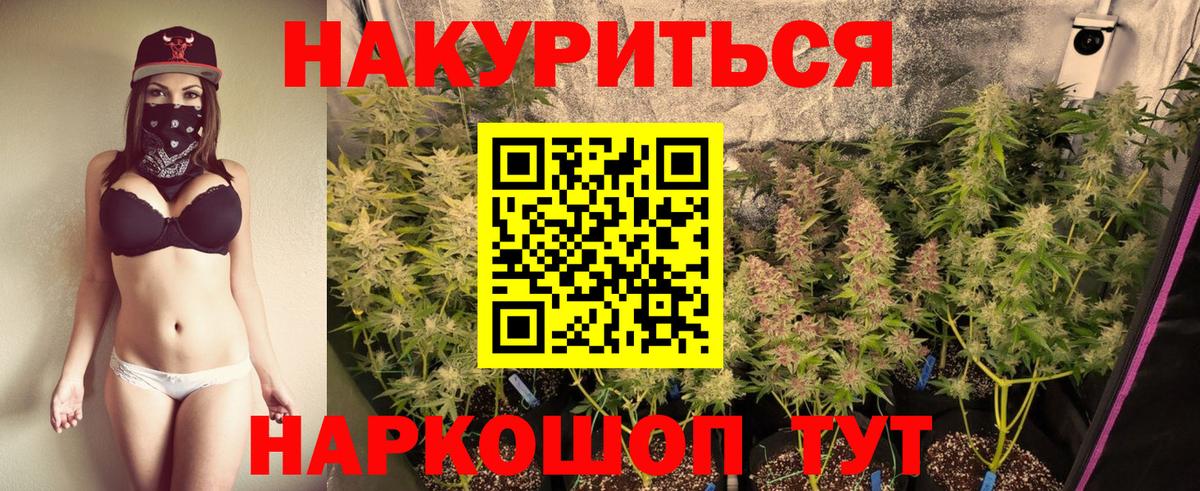 Шишки марихуана VHQ  Каннабис White Widow  Бошки марихуана план  Новочебоксарск  Шишки марихуана тримм 